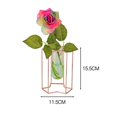 thumbnail image 4 of Flower Vase with Metal Stand Hydroponic Plant Flower Vase for Kitchen Office Decor, 4 of 4