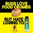 thumbnail image 6 of Raid Ant Killer 26, Insecticide Spray for Home, Pine Forest Fresh Scent, 17.5 oz, 6 of 14