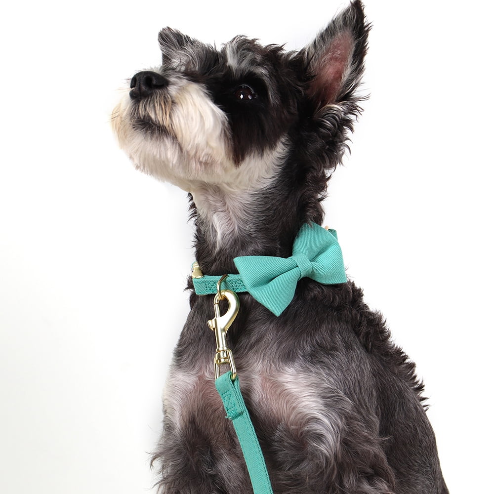 Pet Artist 4pcs Cute Bowtie Dog Harness and Collar and Leash and Poo Bag Holder Adjustable Pet Puppy Cat Vest