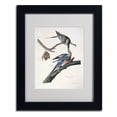 thumbnail image 2 of Trademark Fine Art "Passenger Pigeon" Canvas Art by John James Audubon, Wood Frame, 2 of 4