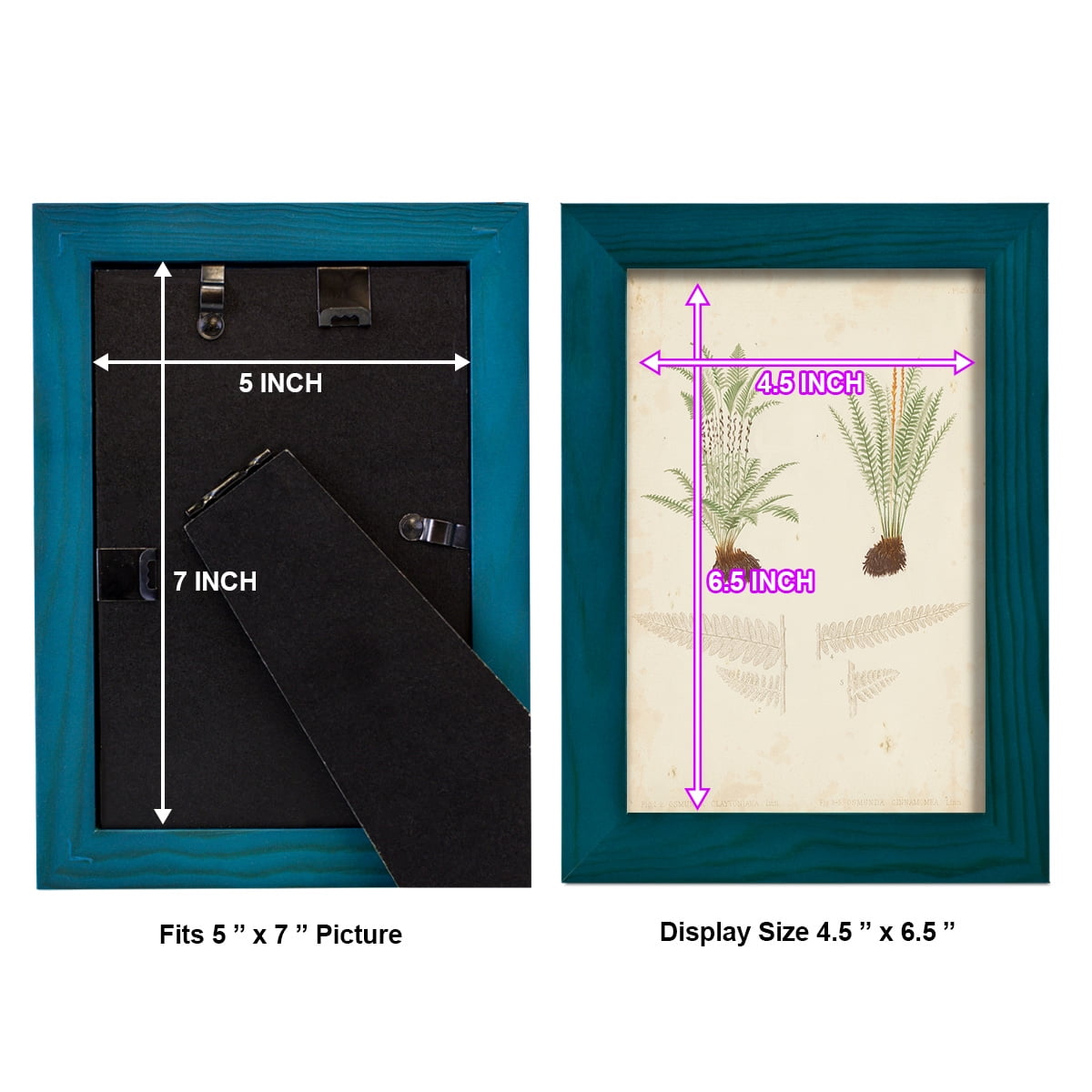 Fern Study III -Framed Print w/glass-Ocean Blue