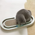 thumbnail image 3 of Planche à Griffer pour Chat Pliable avec Griffe Intégrée, 3 of 8