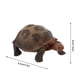 thumbnail image 3 of onlyliua Liquidación Figuras de Tortuga Juguetes Decoración Del Hogar Preescolar Educativo, 3 of 3