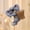 Koala, variant on Zeiwohndc Hanging Cats Statues Resin Animal Statue with Storage Basket Aquarium Decors