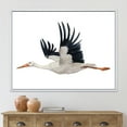 thumbnail image 2 of Designart 'White Stork Ciconia Flying Bird ' Traditional Framed Canvas Wall Art Print, 2 of 5