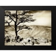 thumbnail image 2 of Hausenflock, Alan 18x15 Black Modern Framed Museum Art Print Titled - Lone Pine II, 2 of 5