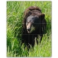 thumbnail image 1 of Picture-Tiles.com: Bear Ceramic Tile Wall Mural WAL500114-45L. 32"W x 40"H using (20) 8" x 8" Ceramic Tiles-Satin Finish, 1 of 3