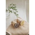 thumbnail image 5 of 2 ? Kitchen Cleaning Scrub Brush for Washing Dishes, Pots, Pans & Sink ? Vegetable Scrub Brush ? Zero Waste Firm & Soft Bristle Eco Dish Brush, 5 of 5