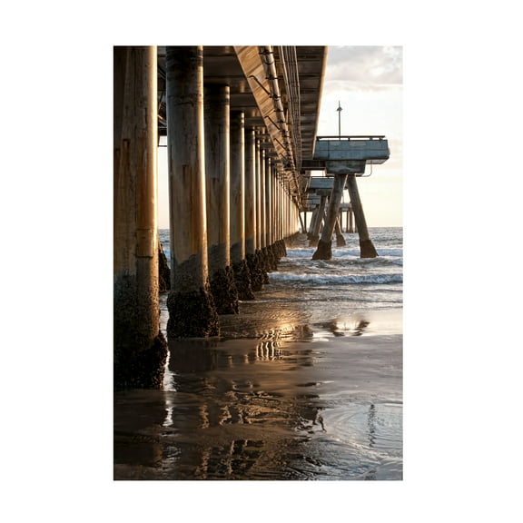 Trademark Fine Art 'Venice Beach Pier' Canvas Art by Lori Hutchison