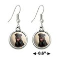 thumbnail image 4 of Rottweiler Dog Headphones Sitting DJ Novelty Dangling Drop Charm Earrings, 4 of 5