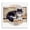 Vintage Cat Collage, variant on Stupell Industries Eclectic Vintage Collage Cat Black Framed Giclee Art, 12 x 12, by Nancy Overton