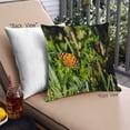 thumbnail image 1 of Ahgly Company Coussin Décoratif d'Extérieur avec Insectes et Papillons, 18 Po X 18 Po, 1 of 6