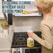 Mean Green Ready-To-Use Multi-Purpose Cleaner, 32oz Spray - 394133