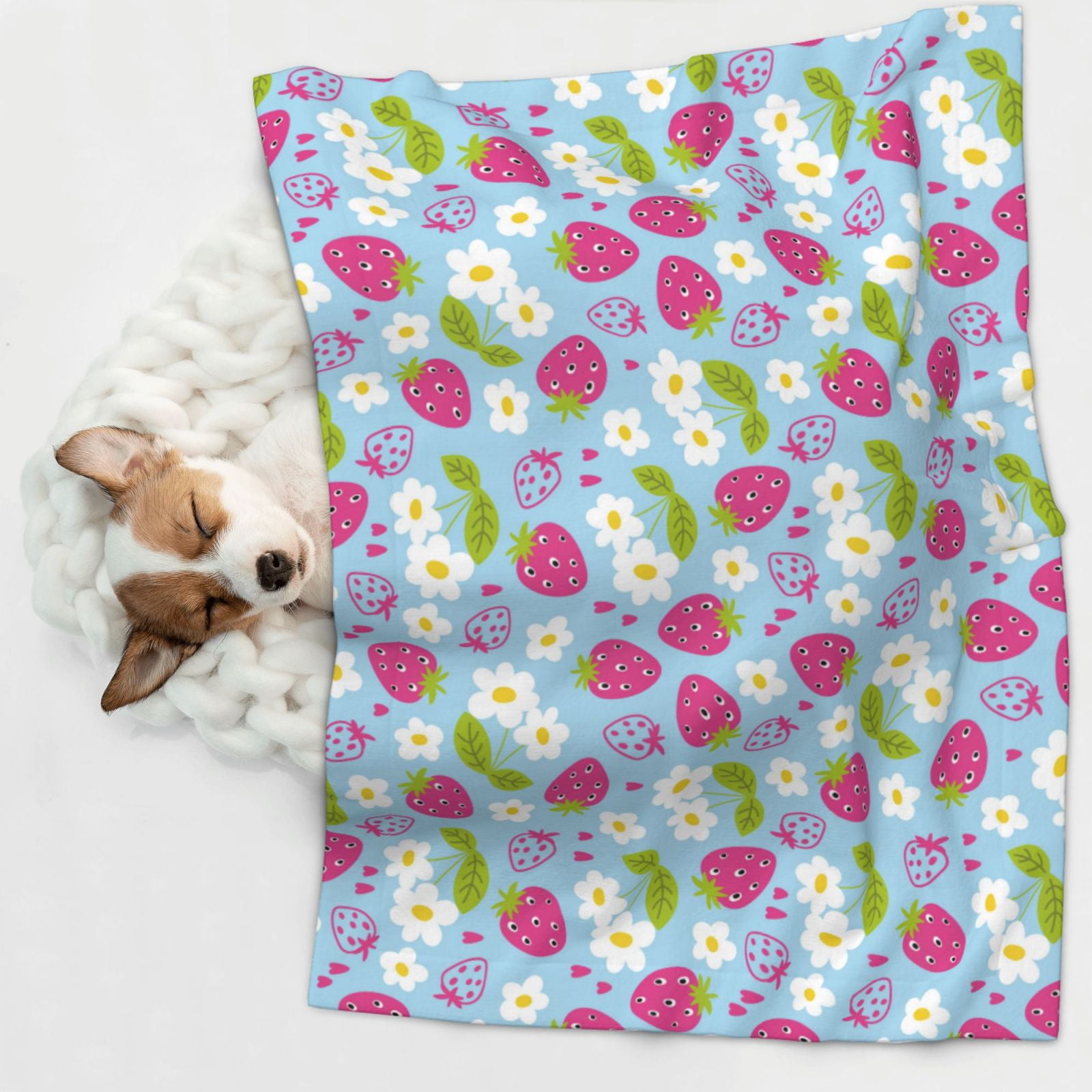 Naloa Strawberry And Flowers Dog Blanket, 3 Sizes Cat Blanket for Indoor Cats Large Medium Small Dog Gifts-Large