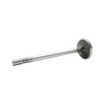 thumbnail image 4 of DNJ EV4147 Exhaust Valve Fits Cars & Trucks 91-04 Ford Lincoln Cougar F-150 4.6L-6.8L V8 SOHC, 4 of 5