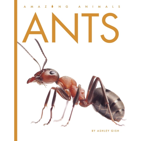 Amazing Animals Ants, (Paperback)
