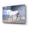 thumbnail image 2 of Epic Art 'Horse In The Fog Mist 3' by Irena Orlov, Acrylic Glass Wall Art, 24"x16", 2 of 9