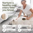 thumbnail image 4 of Pet Brush Pawfume 2 en 1 para perros y gatos, 4 of 6