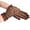 Brown, variant on New 1 Pair Summer Women Thin Short Tulle Gloves Stretchy Lace Leopard Print Flexible Accessories Full Finger Silk Short Gloves