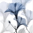 thumbnail image 2 of Art.com Steel Hibiscus Stretched Canvas Print Wall Art by Albert Koetsier, 24" x 24", 2 of 4