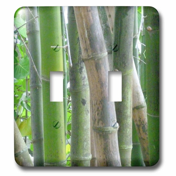 3dRose, Pure Bamboo, double toggle switch