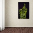 thumbnail image 3 of Trademark Fine Art "Fern Fronds Unfolding II" Canvas Art by Kurt Shaffer, 3 of 3