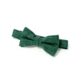 thumbnail image 2 of Spring Notion Boys' Mottled Linen Bow Tie, 2 of 5