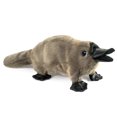 thumbnail image 1 of Folkmanis Marionnettes - 3037 Marionnette Bébé Ornithorynque, 1 of 1