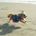 thumbnail image 2 of Vibrant Life, FRUIT DRESS, Extra Small, 2 of 3