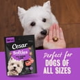 thumbnail image 4 of Cesar Softies Filet Mignon Flavor Chewy Soft Dog Treats, 18 oz Pouch, 200 Treats, 4 of 10