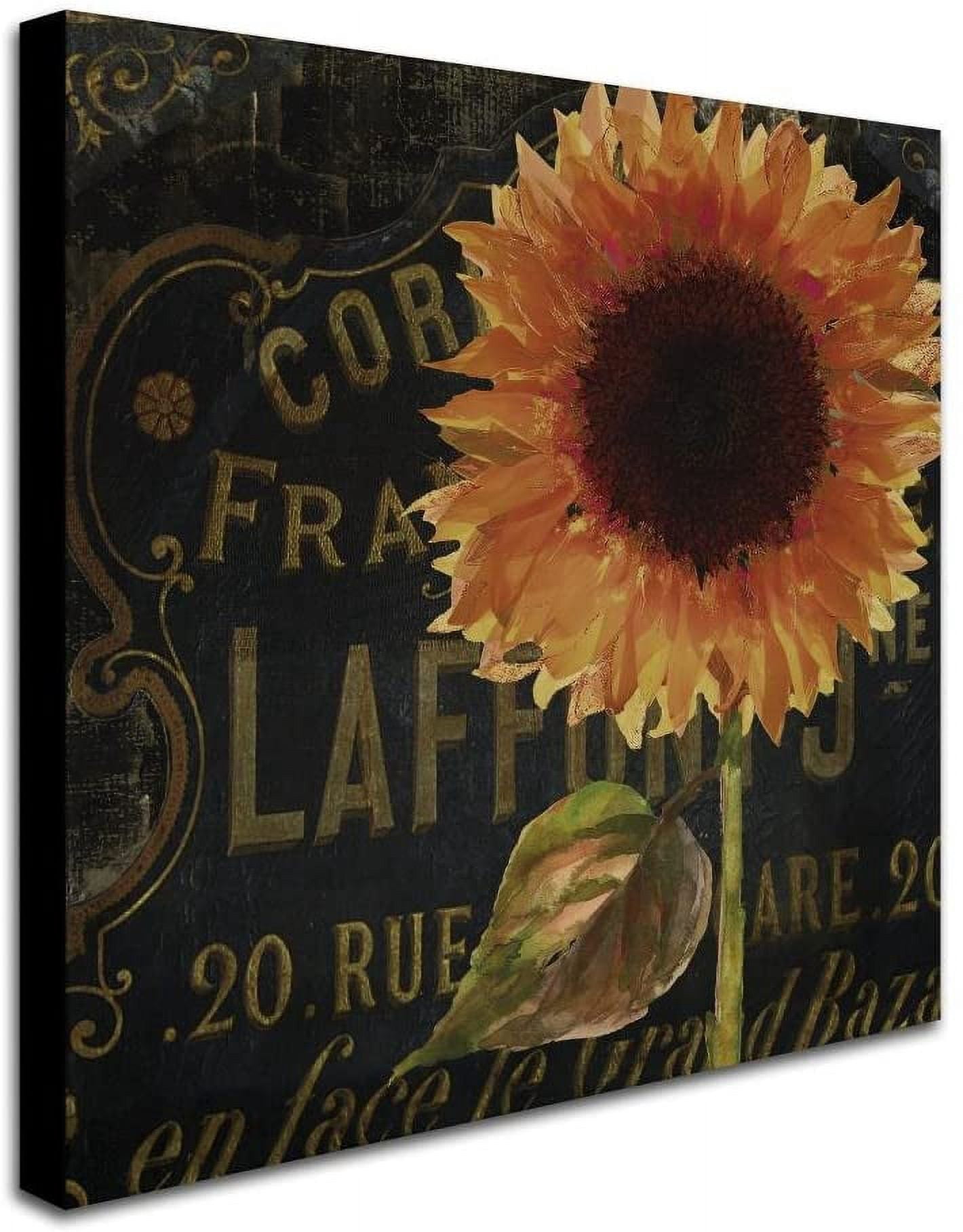 Trademark Fine Art "Sunflower Salon II" Canvas Art by Color Bakery