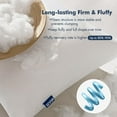 thumbnail image 4 of Throw Pillows Inserts, Pack of 2 14x22 Inch 100% Virgin Fiber Filling Bed Couch Pillows, 4 of 8
