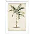 thumbnail image 2 of Art.com Banana Palm II Art Print by 0 Unknown, White Frame Wall Art, 17" x 23", 2 of 5