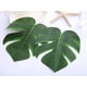 thumbnail image 4 of Hojas artificiales decorativas Decoración de hojas tropicales 120 piezas Levamdar CZJJ-HQ61, 4 of 6