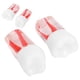 thumbnail image 5 of Modelo de dientes de conducto radicular modelo de diente dental cantidad suficiente multiusos para enseñanza en hospitales ANGGREK Otros, 5 of 8