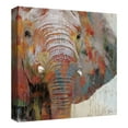 thumbnail image 4 of Masterpiece Art Gallery Paint Splash Elephant By Nan Canvas Art Print 24" x 24", 4 of 4