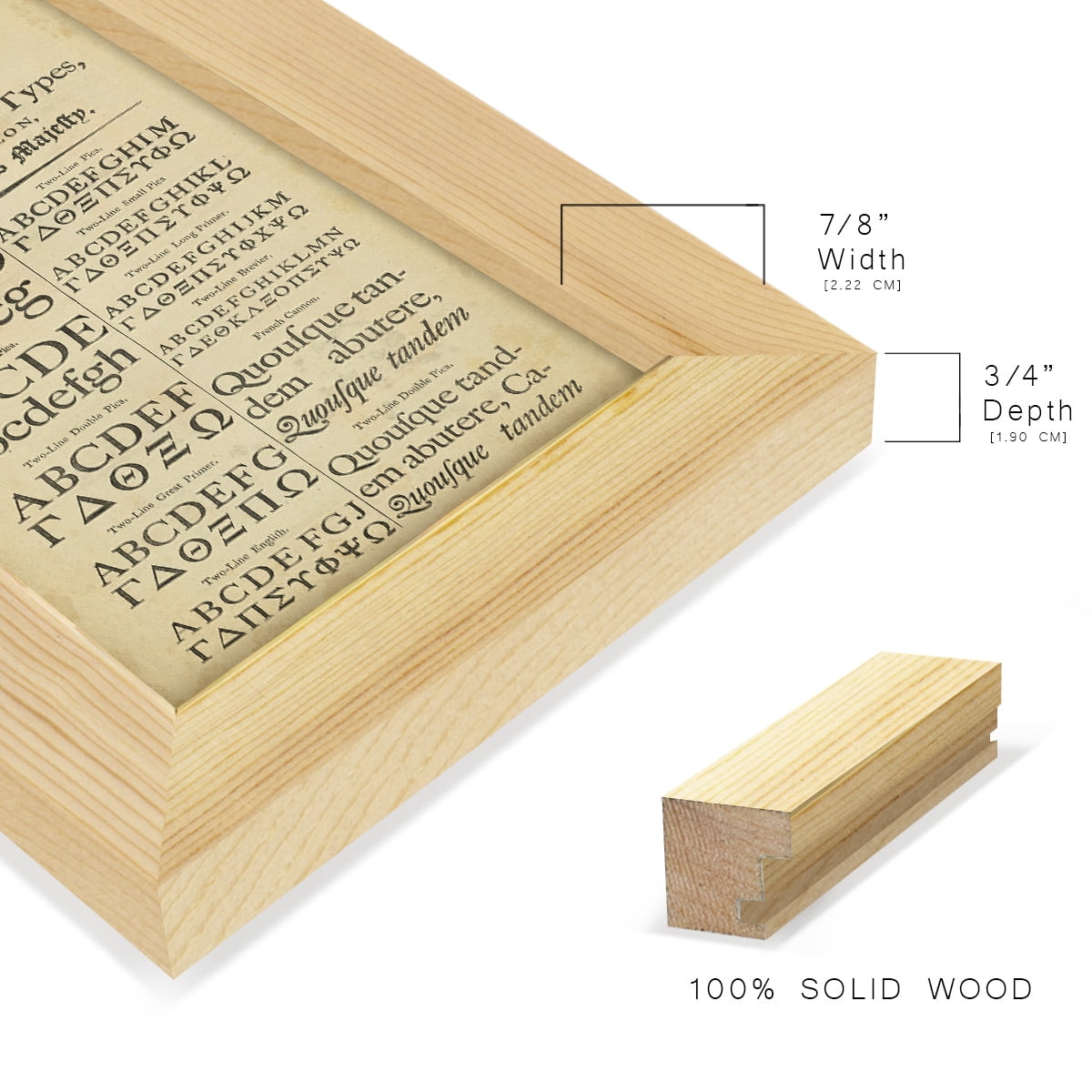 Encyclopediae VI -Framed Print w/glass-Natural Wood