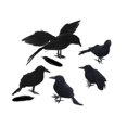 thumbnail image 2 of Conjunto de Fiesta de Cuervos Decorativos Macarena Halloween, 2 of 8
