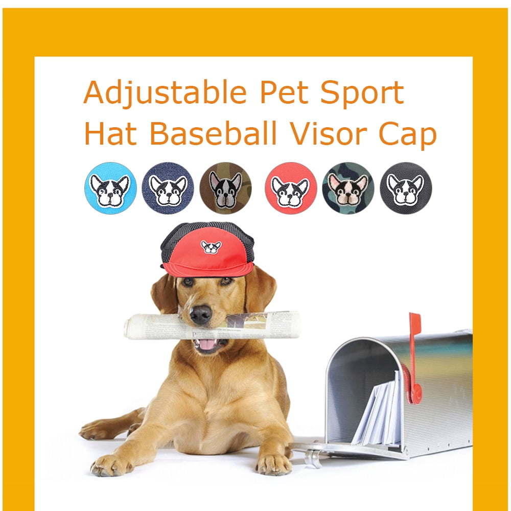 pet baseball cap