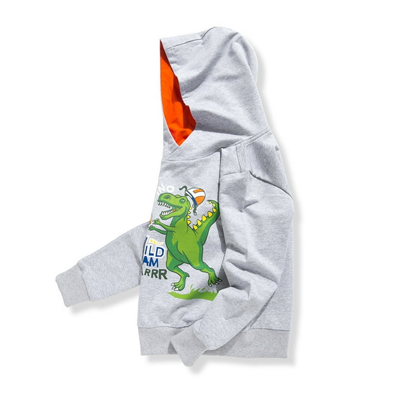 Kids Boy Hoodies Crewneck Hooded Sweatshirts Long Sleeve Dinosaur
