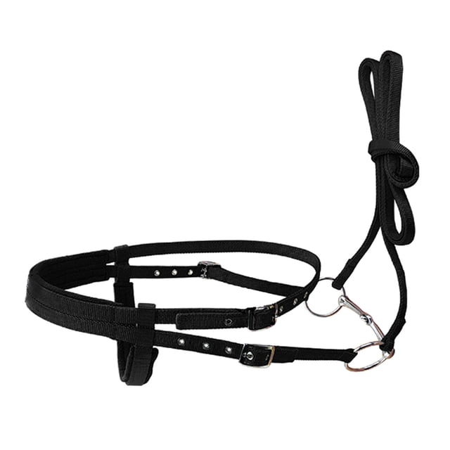 Naiovety Animal Brida Cabeza Gruesa Headstall Arnés Ajustable Cabeza Collar Snaffle Equipo Accesorios Regalos Rojo S Cuidado ecuestre y deportes Negro S Naiovety OD023377-05