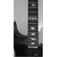 thumbnail image 4 of Marcadores De Diapasón, Pegatinas Con Incrustaciones, Calcomanías Para Guitarras Y Bajos, Alas De Murciélago, Metálicas, 4 of 5