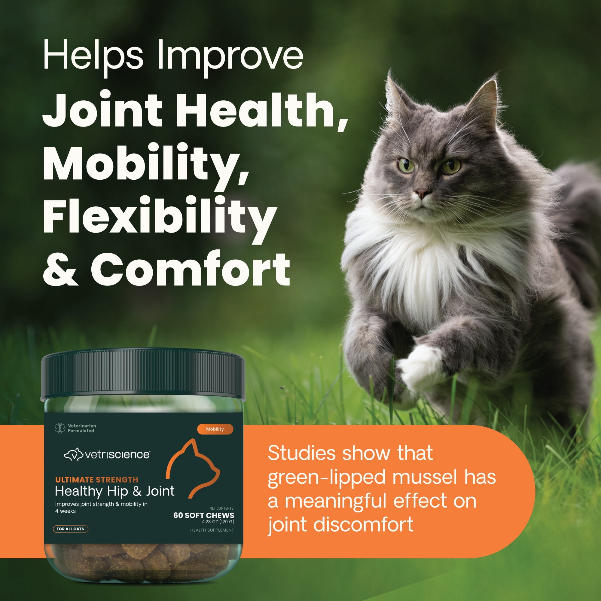 VetriScience Ultimate Strength Hip & Joint Care Glucosamine Chews for Cats, Chicken , 60 Count Jar