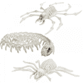 thumbnail image 3 of Halloween Decorations Animal Skeleton & Skull Realistic Bones Scary Party Props-Snake, 3 of 5