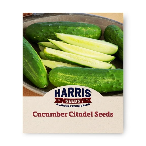 Harris Seeds 50 Citadel Variety Cucumber Plant Seeds