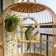 Wooden Parrot Swing Perch with Colorful Beads, Bird Cage Hanging Toy for Parakeets Cockatiels, Interactive Claw Grinding Bird Swing,B
