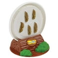 thumbnail image 5 of Insect Lore Cup of Caterpillars - 5 Live Painted Lady Caterpillars with Food - Refill for Butterfly Garden Kit - Stickers & Chrys-A-Lid Holding Log Included - STEM Learning Activity, 5 of 6
