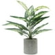 thumbnail image 1 of Suculentas artificiales Ornamentos Imitación decorativa Decoración de bonsai adorno de escritorio, 1 of 4