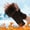 Coffee, variant on Hot Sales Fingerless Gloves for Women GIJNRIUIUA Under $4 Winter Gloves for Women Warm Glove Windproof Elastic Texting Black Gloves Thermal Gloves Christmas Gift Brown Gloves & Mittens
