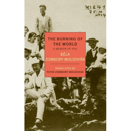 The Burning of the World : A Memoir of 1914 (Best Wood Burning Stove In The World)